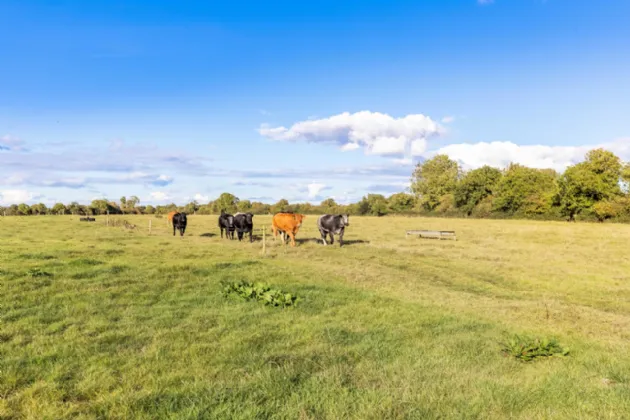 Photo of 40 Acre Residential Farm, Fleenstown, The Ward, Co. Meath, D11 RW98