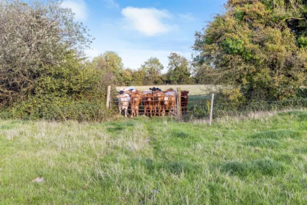 Photo of 40 Acre Residential Farm, Fleenstown, The Ward, Co. Meath, D11 RW98