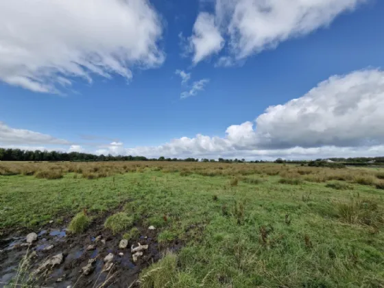 Photo of 24.29 Acres, Carrowmoneen, Tuam, Co. Galway