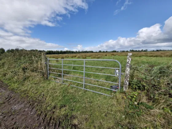 Photo of 24.29 Acres, Carrowmoneen, Tuam, Co. Galway