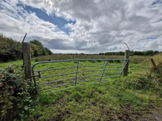 Photo of 24.29 Acres, Carrowmoneen, Tuam, Co. Galway