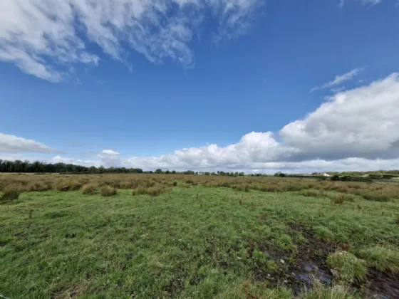 Photo of 24.29 Acres, Carrowmoneen, Tuam, Co. Galway