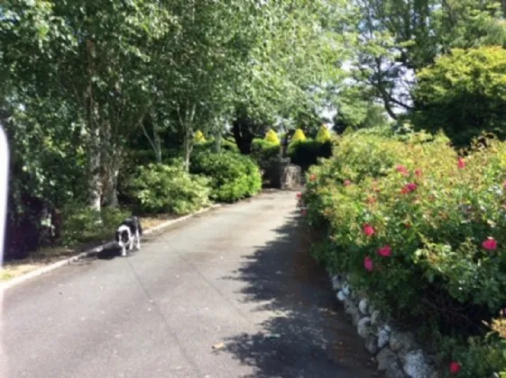 Photo of Drummin House, Timullen, Rathdrum, County Wicklow, A67 H267