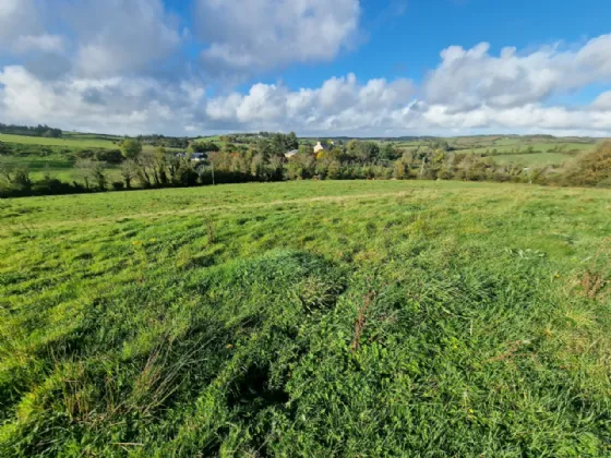 Photo of Land In Kilcloher, Folio CE7650, Kilmaley, Ennis, Co Clare