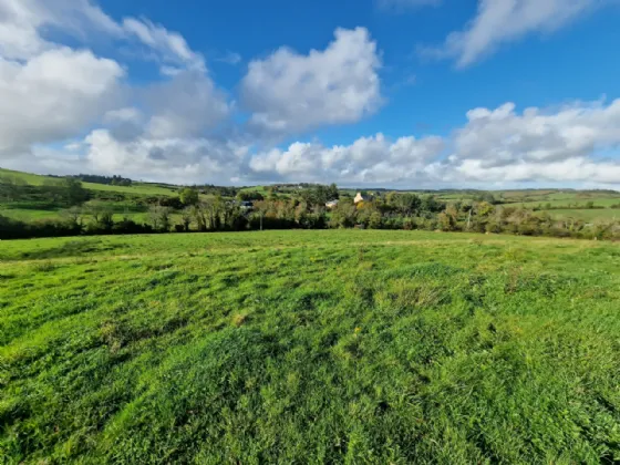 Photo of Land In Kilcloher, Folio CE7650, Kilmaley, Ennis, Co Clare