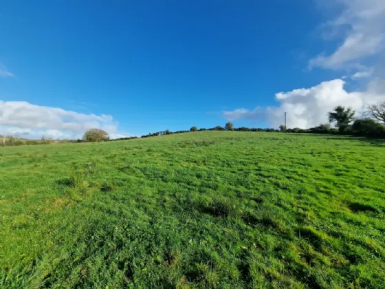 Photo of Land In Kilcloher, Folio CE7650, Kilmaley, Ennis, Co Clare