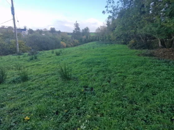 Photo of Land In Kilcloher, Folio CE7650, Kilmaley, Ennis, Co Clare