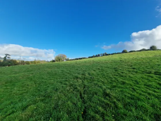 Photo of Land In Kilcloher, Folio CE7650, Kilmaley, Ennis, Co Clare