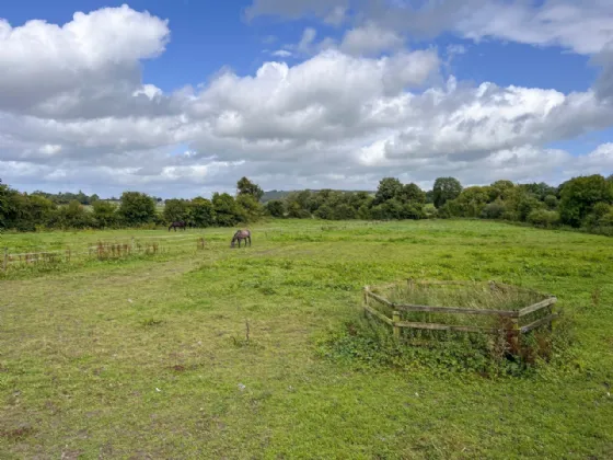 Photo of Kilbrennal Stud, Killenaule, Thurles, Co. Tipperary