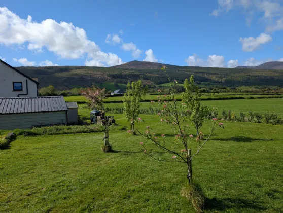 Photo of Newcastle, Clonmel, Tipperary, E91EE79