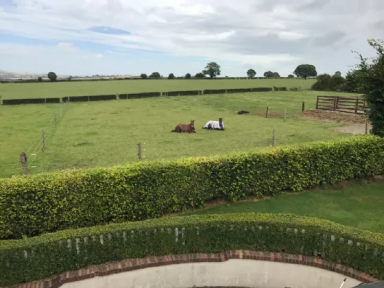 Photo of Beech Drive House & Farm, On C. 5.8 Ha (14.3 Acres) Sommers Lane, Killowen, Gorey, County Wexford, Y25 C8P8