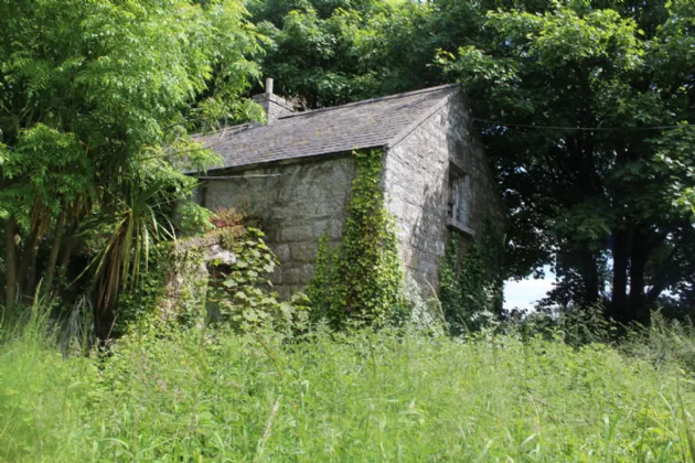 Photo of Derelict House On 1 Acre Plot, Seskinryan,, Bagenalstown,, Co. Carlow, R21C796