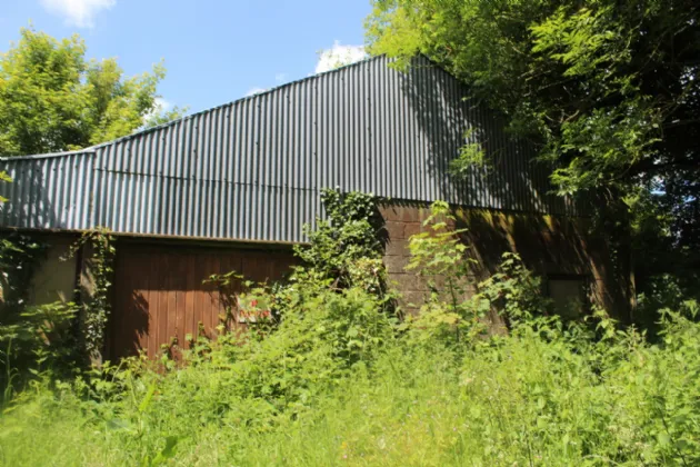 Photo of Derelict House On 1 Acre Plot, Seskinryan,, Bagenalstown,, Co. Carlow, R21C796