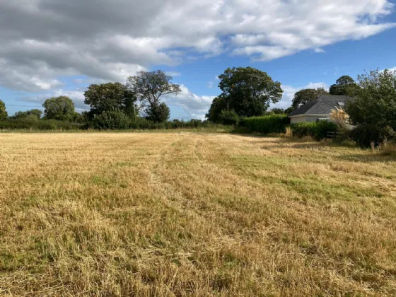 Photo of Hogan's Pass, Newtown, Nenagh, Co. Tipperary