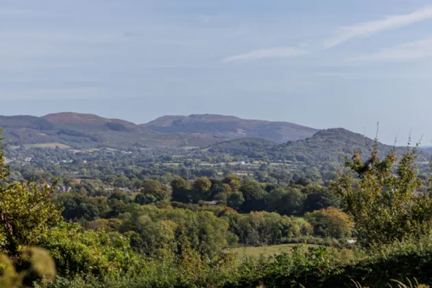 Photo of Inchenagh, Hill Of Faughart, Dundalk, Co. Louth, A91 X8D3