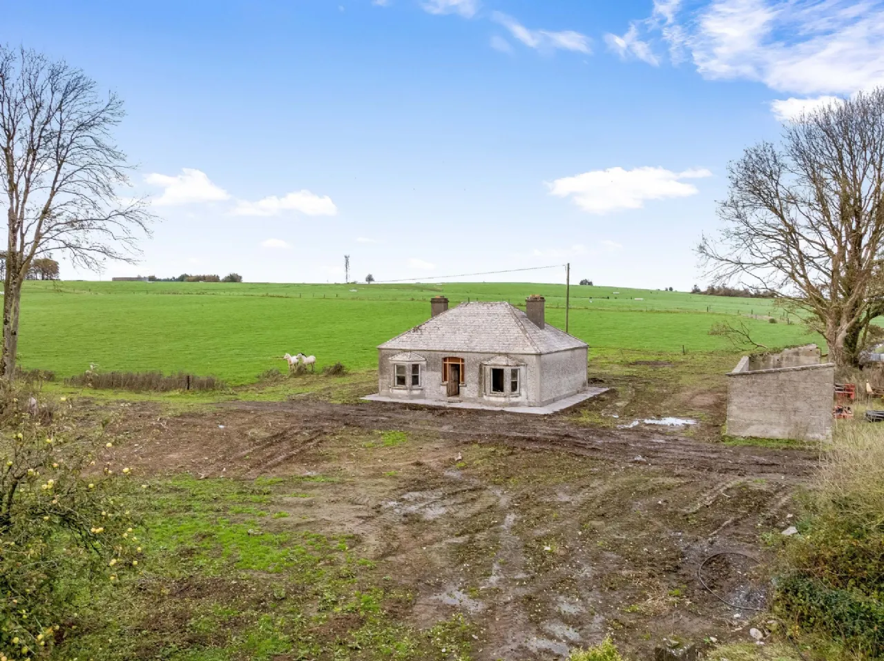 Photo of Eyrecourt Demesne (The Entire), On Approx. 56.27 Hec (138.99 Acres), Eyrecourt, County Galway, H53HC85