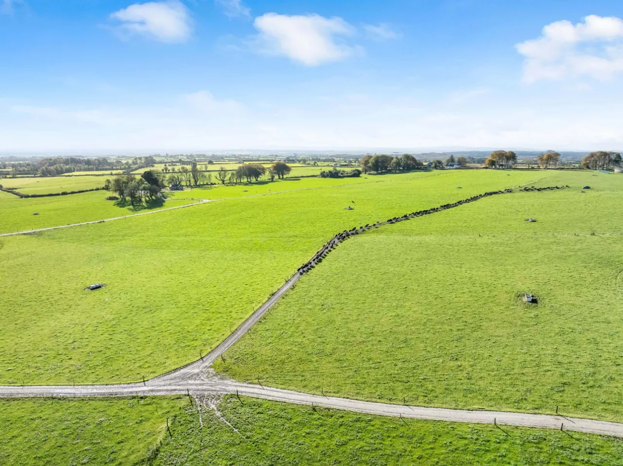 Photo of Eyrecourt Demesne (The Entire), On Approx. 56.27 Hec (138.99 Acres), Eyrecourt, County Galway, H53HC85