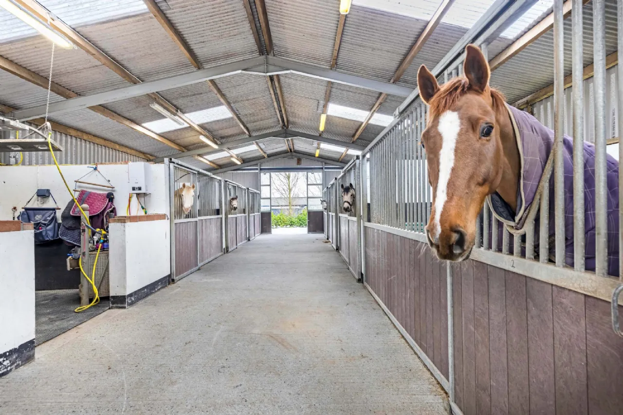 Photo of Eyrecourt Demesne (The Entire), On Approx. 56.27 Hec (138.99 Acres), Eyrecourt, County Galway, H53HC85