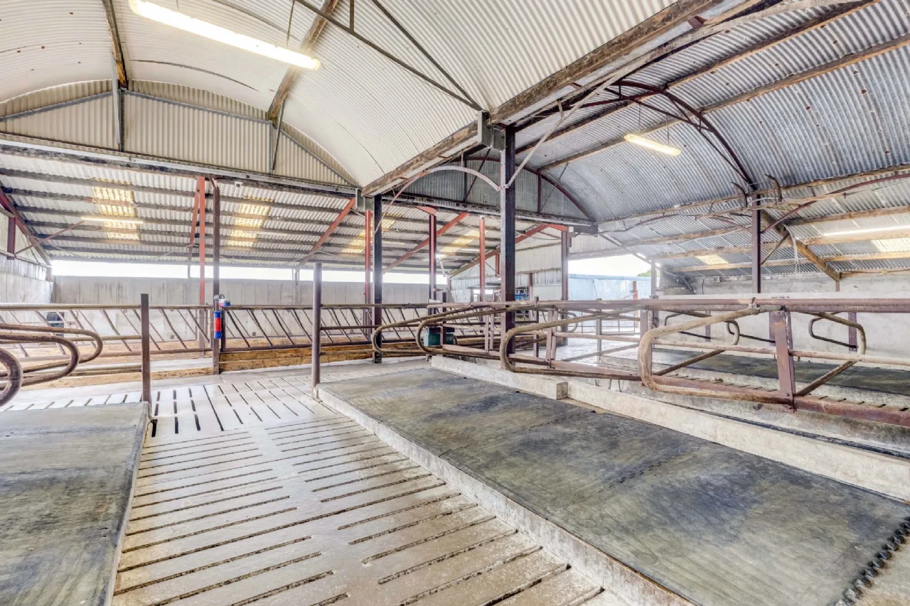 Photo of Eyrecourt Demesne (The Entire), On Approx. 56.27 Hec (138.99 Acres), Eyrecourt, County Galway, H53HC85