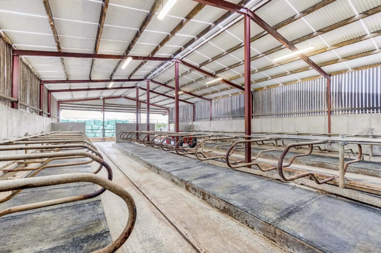 Photo of Eyrecourt Demesne (The Entire), On Approx. 56.27 Hec (138.99 Acres), Eyrecourt, County Galway, H53HC85