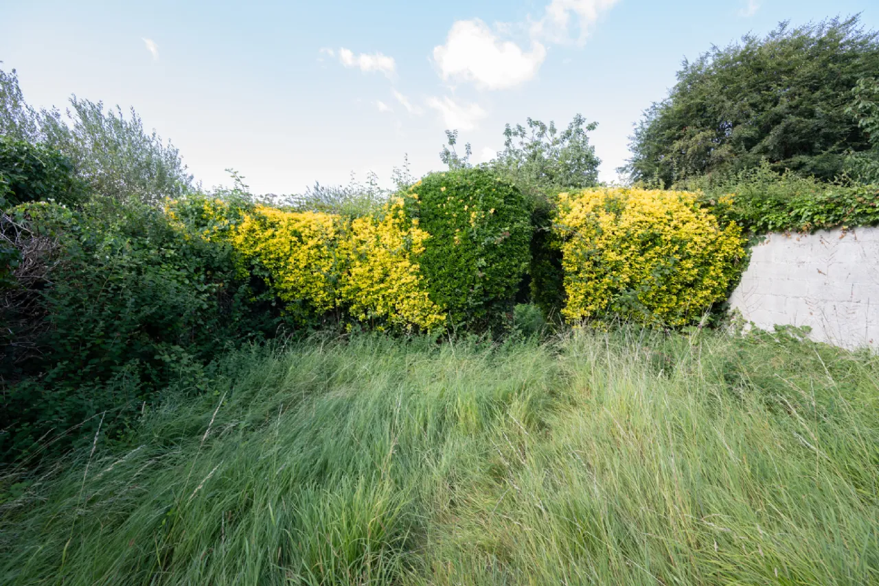 Photo of Hollymount, 60 Hartlands Avenue, The Lough, Cork, T12 C3K7