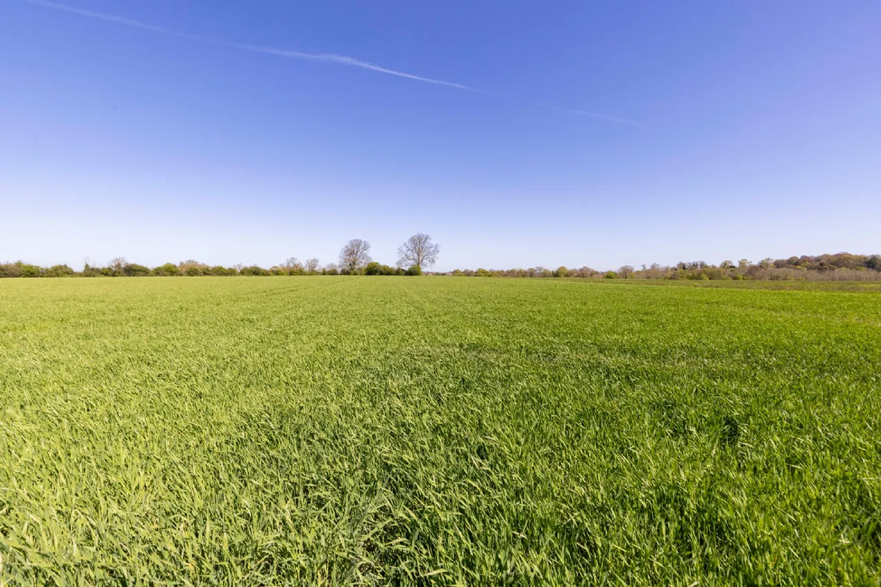 Photo of Ardsallagh House, On Approx. 80.5 Ha (199 Acres), Ardsallagh, Navan, County Meath, C15X796