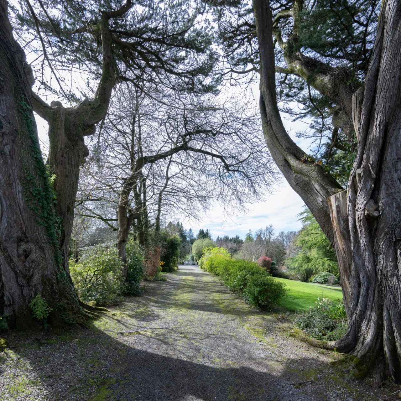 Photo of Beechvale Lawn, Rochestown Road, Cork, T12FH6N