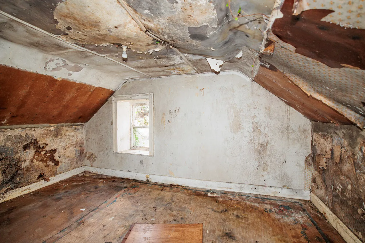 Photo of Forest Hills, High Street, Inistioge, Co Kilkenny, R95 V6R6