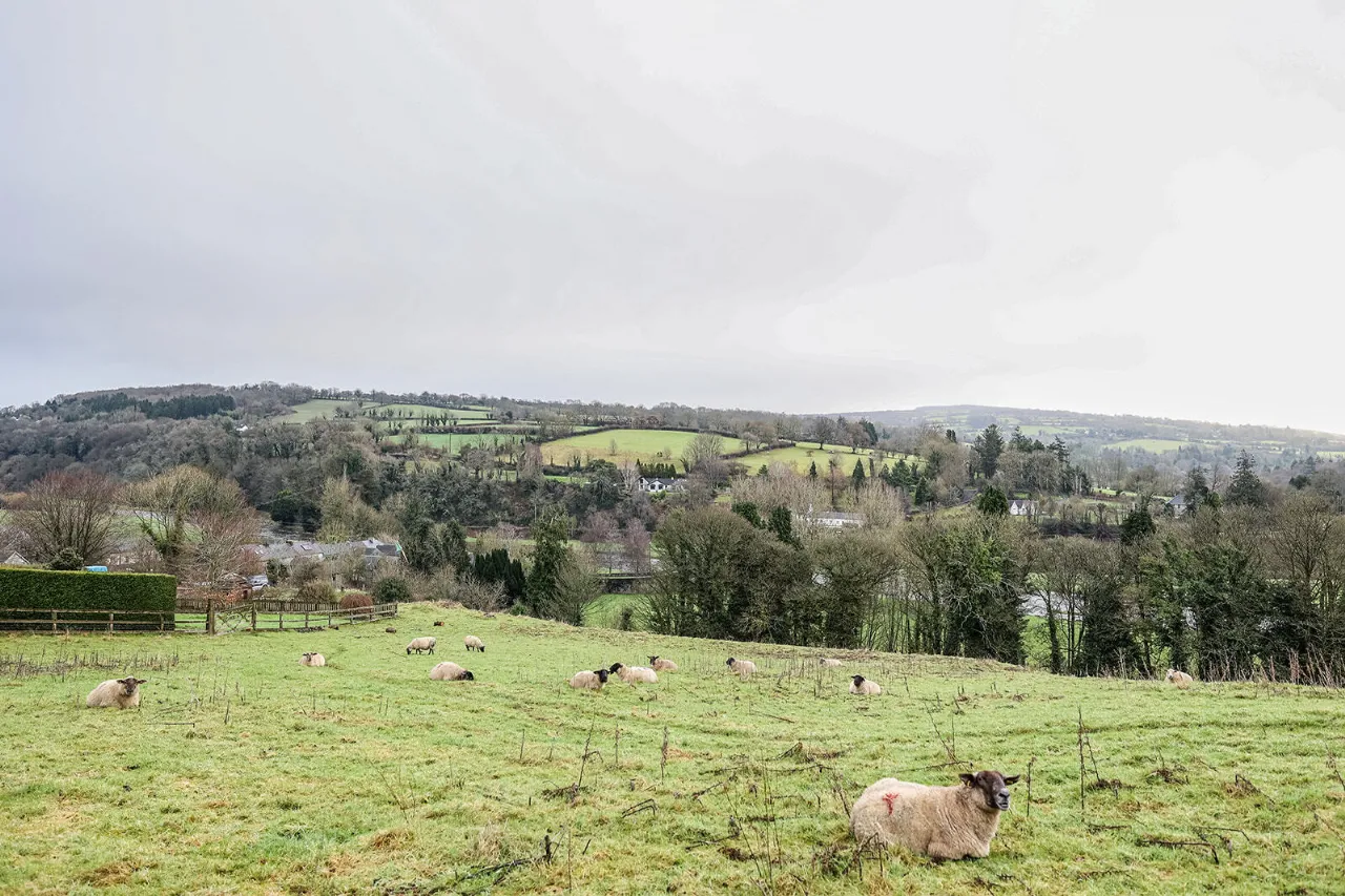 Photo of Forest Hills, High Street, Inistioge, Co Kilkenny, R95 V6R6