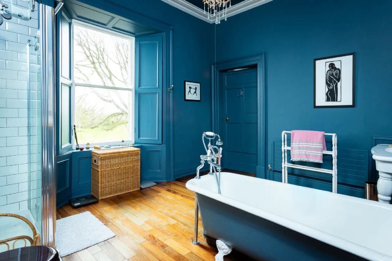 Photo of Cangort House, Shinrone, Birr, Co. Offaly, R42 HT92