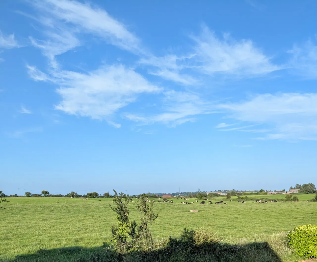 Photo of 11 Earls Well, Waterfall, Co Cork, T12T6DF