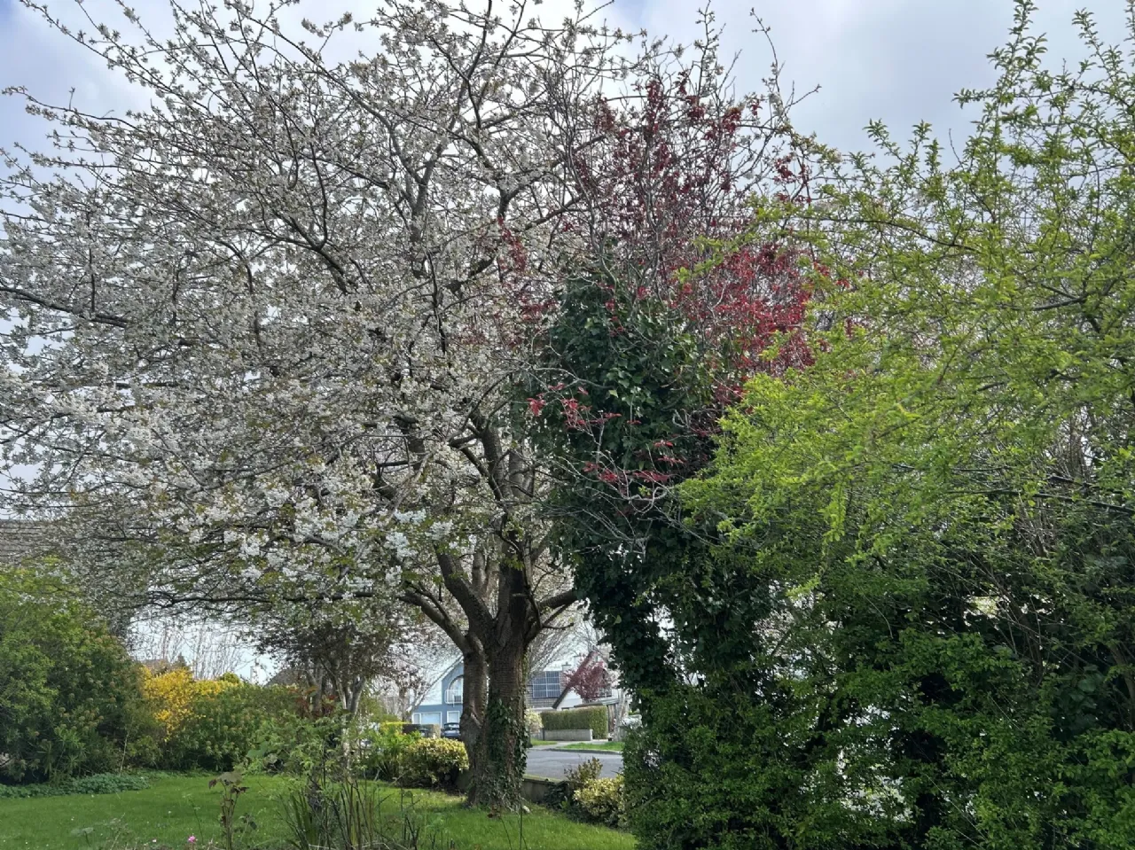 Photo of 18 Glen Lawn Drive, The Park, Cabinteely, Dublin 18, D18E429