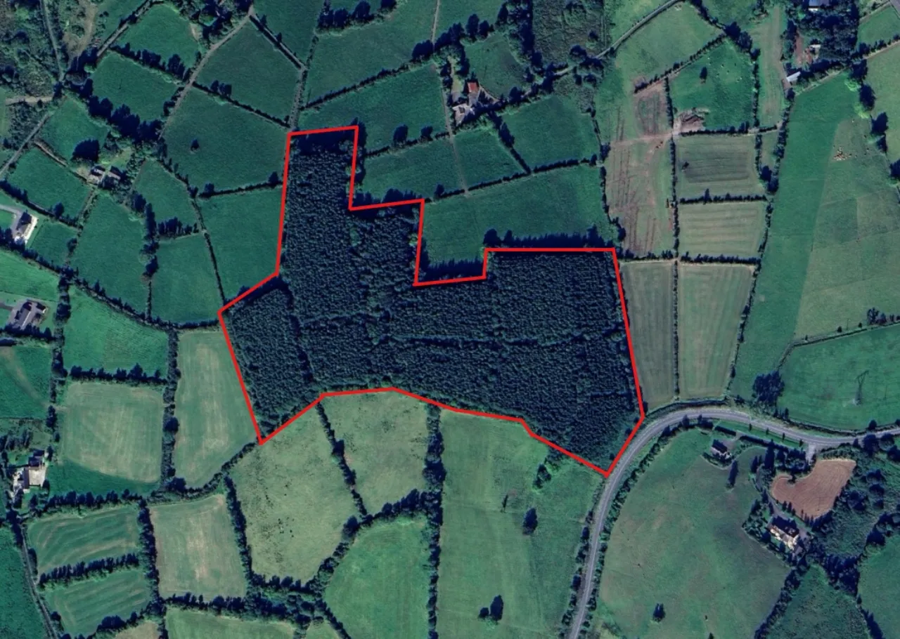 Photo of Corracarrow, Ballyjamesduff, Co. Cavan, A82 YC44