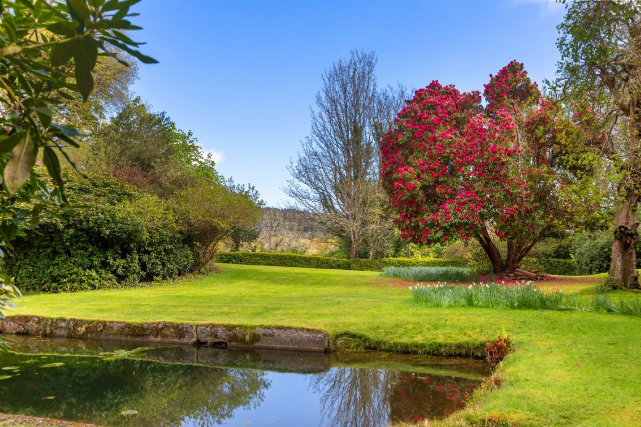 Photo of The Downs House, Glen Of The Downs, Delgany, County Wicklow, A63 PY50