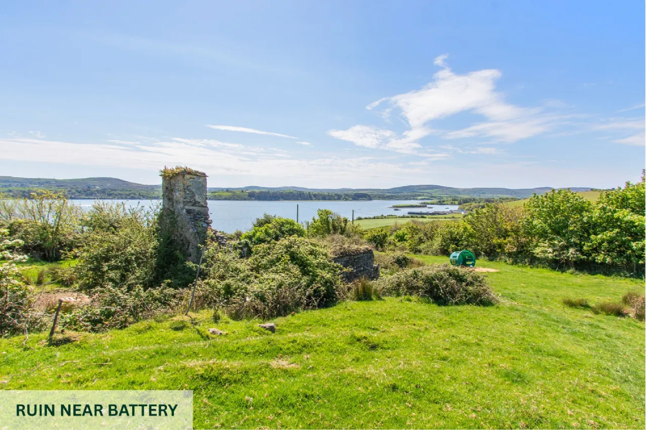 Photo of Whiddy Island, Bantry, County Cork, P75 EF25