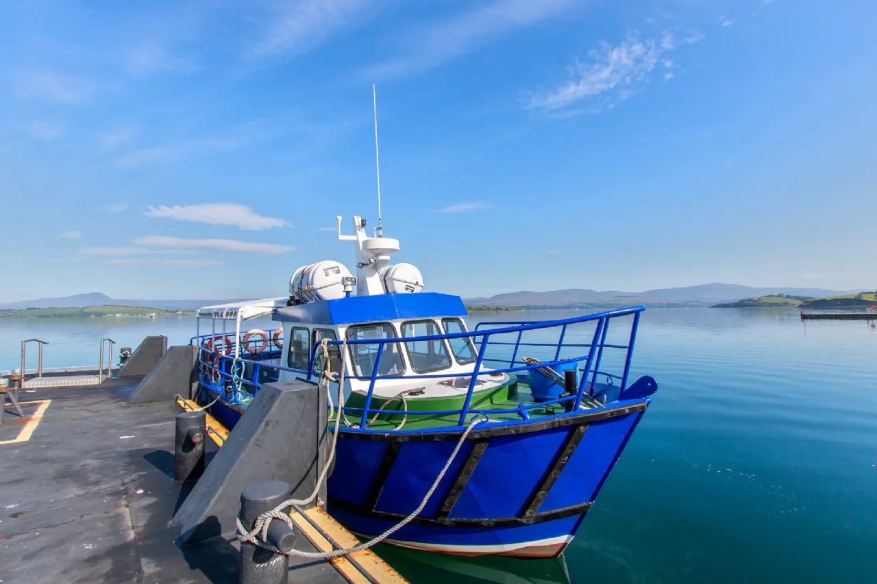 Photo of Whiddy Island, Bantry, Co. Cork, P75EF25