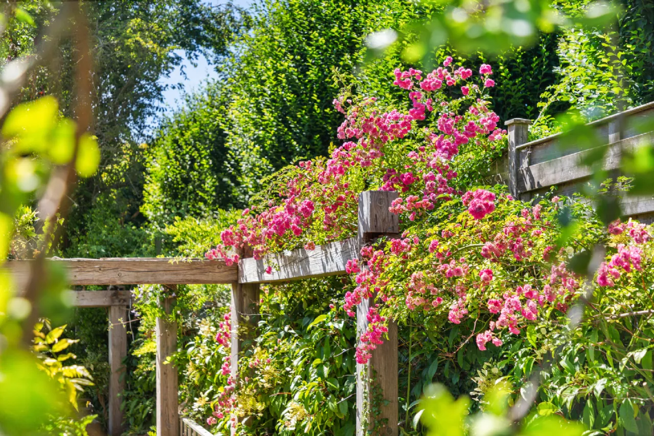 Photo of 3 St James Terrace, 6  Clonskeagh Road, Clonskeagh, Dublin 6