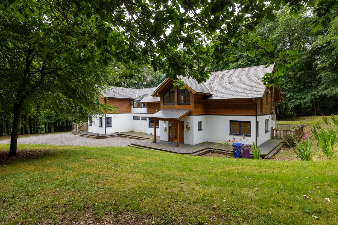 Photo of Sequoia, Killgibbon Wood, Bree, Enniscorthy, Co Wexford, Y21 DN79