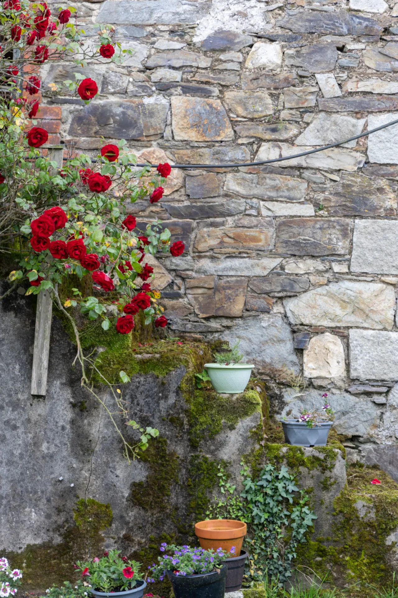 Photo of Ballahara, Barndarrig, County Wicklow, A67RP44