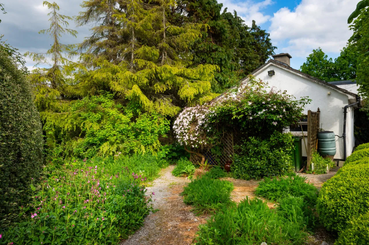 Photo of Ivy House, Loughkeen, Carrig, Birr, Co Offaly, R42 YA25