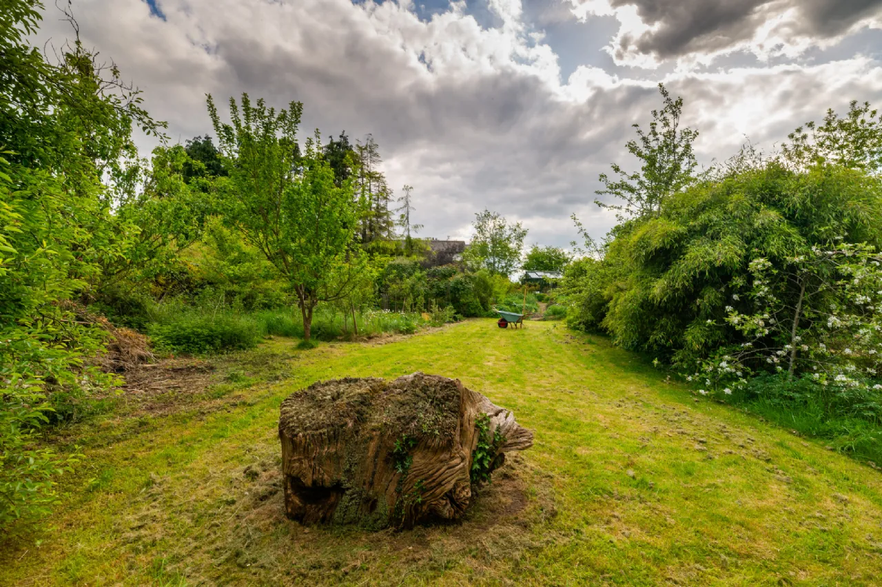 Photo of Ivy House, Loughkeen, Carrig, Birr, Co Offaly, R42 YA25