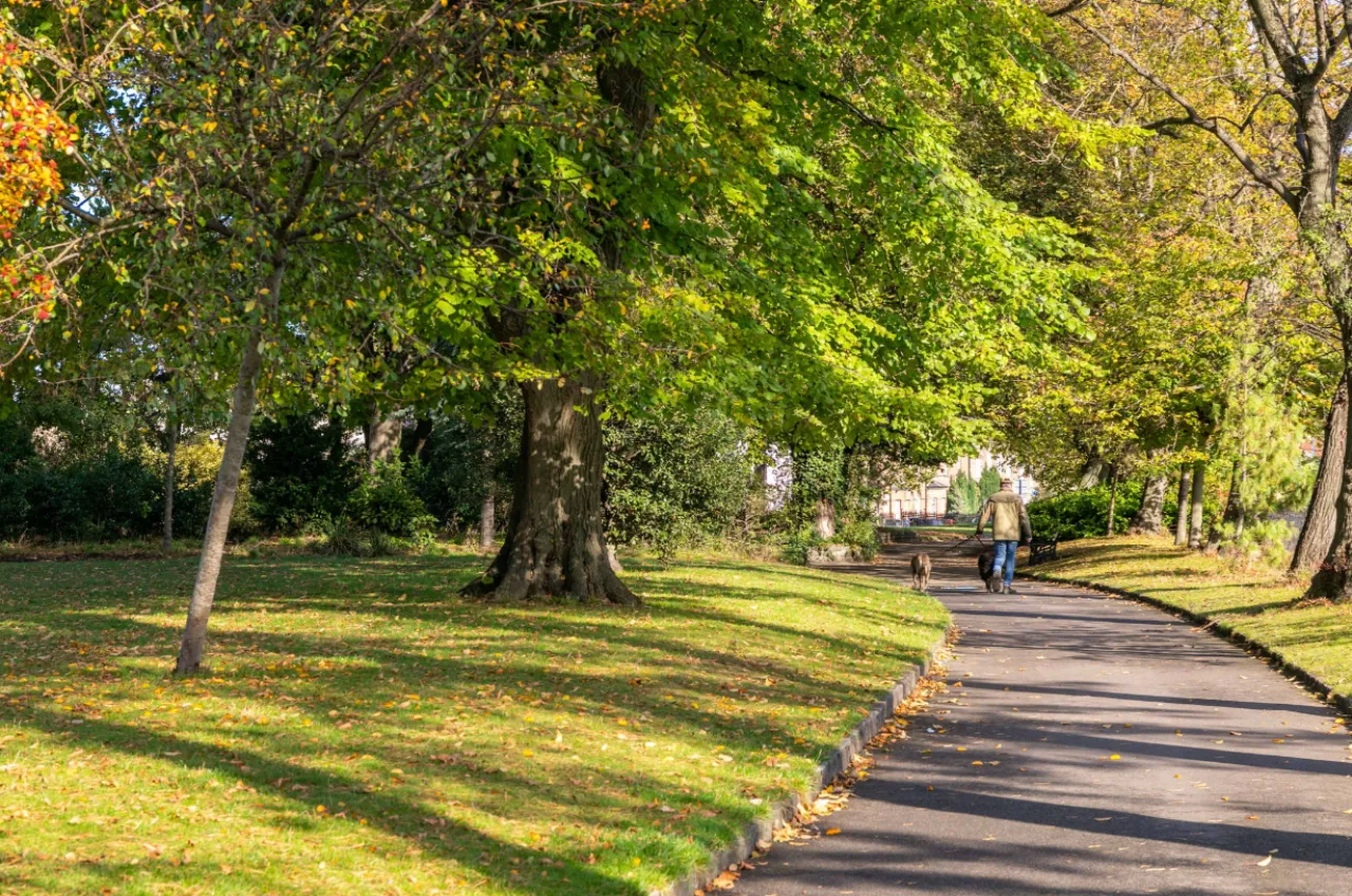 Photo of Apt 3, Parkview, 113 Harold's Cross Road, Dublin 6W, D6W VA49