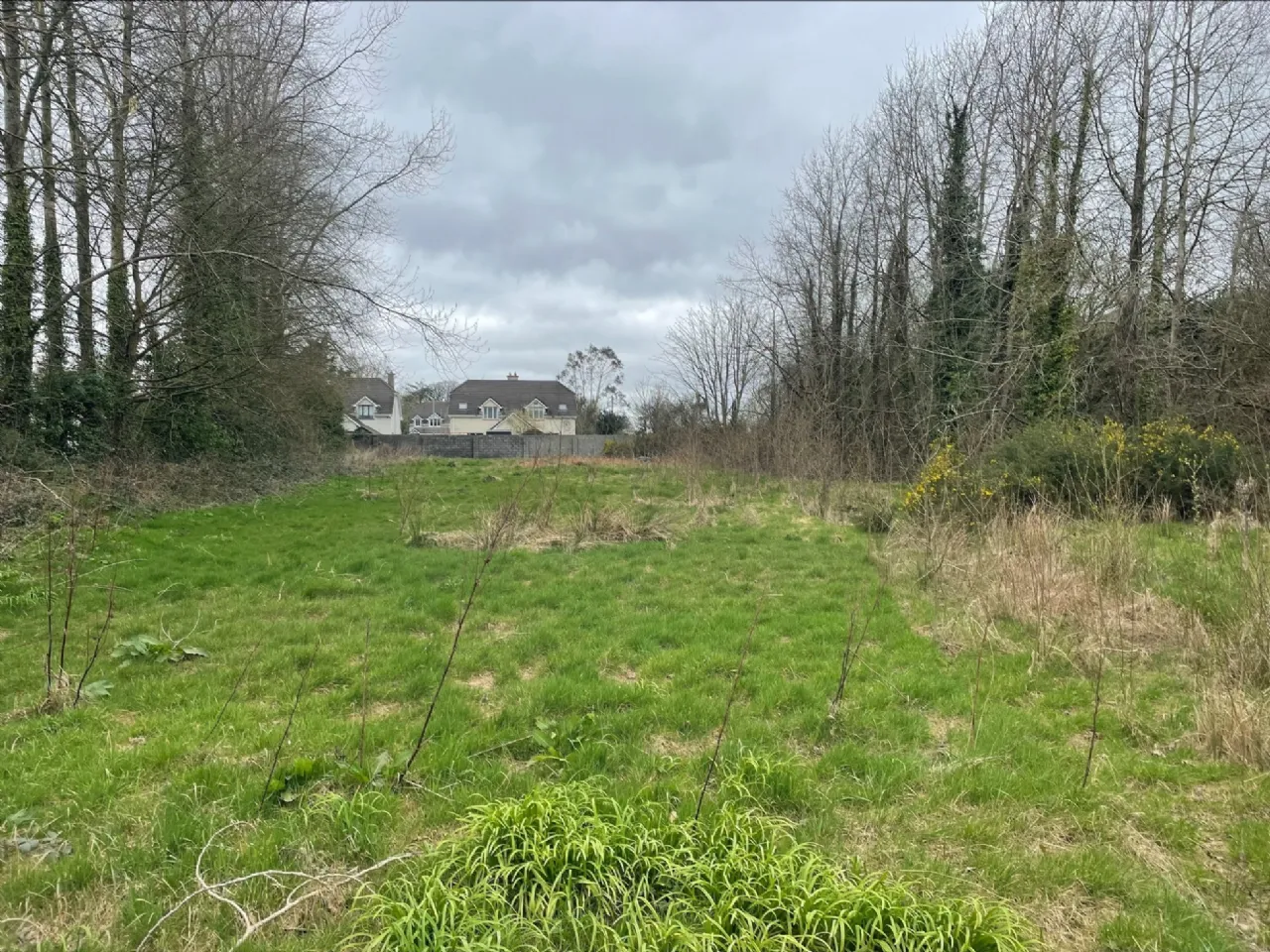 Photo of Clongeen Site, Clongeen, Co Wexford