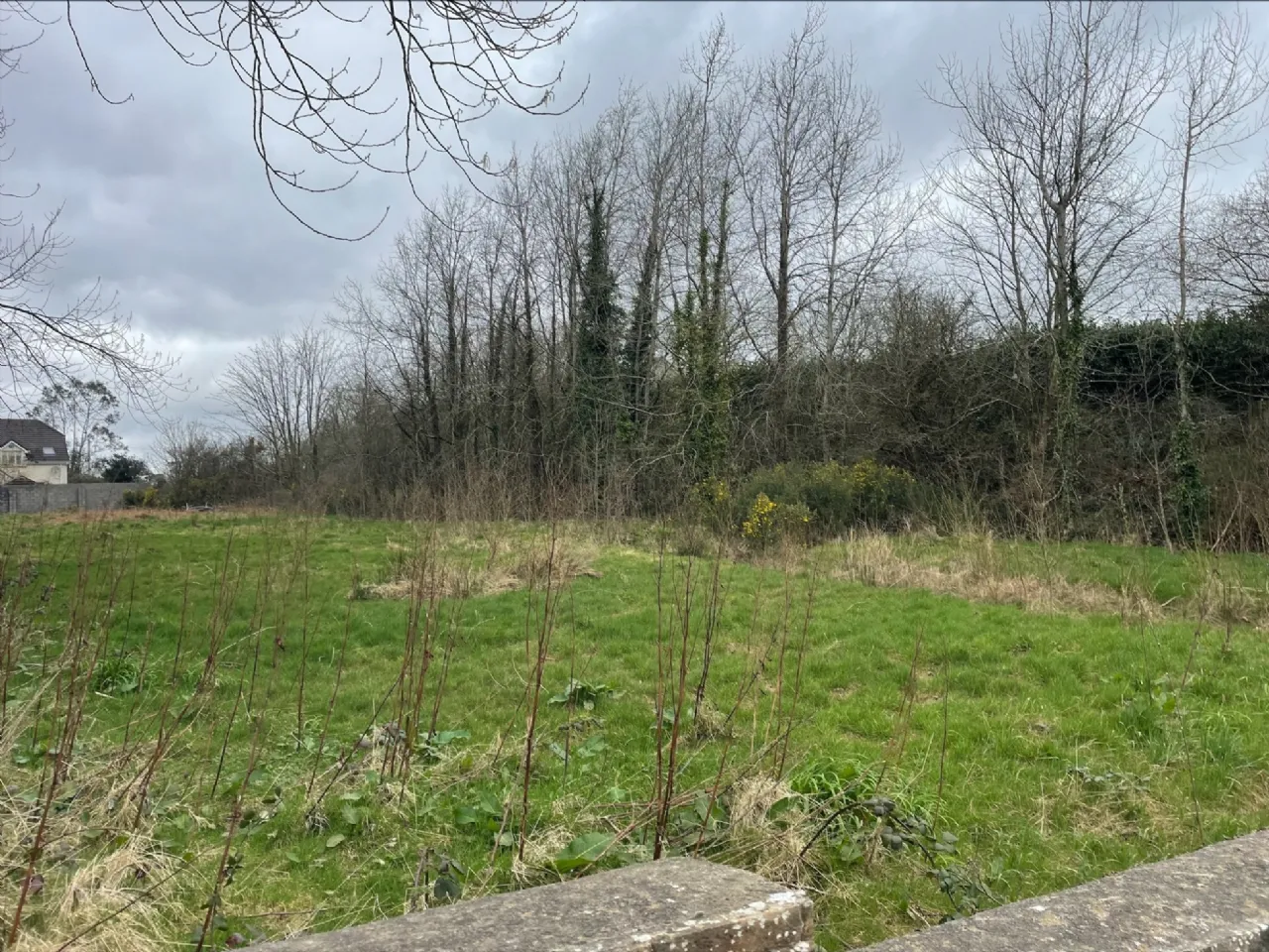 Photo of Clongeen Site, Clongeen, Co Wexford