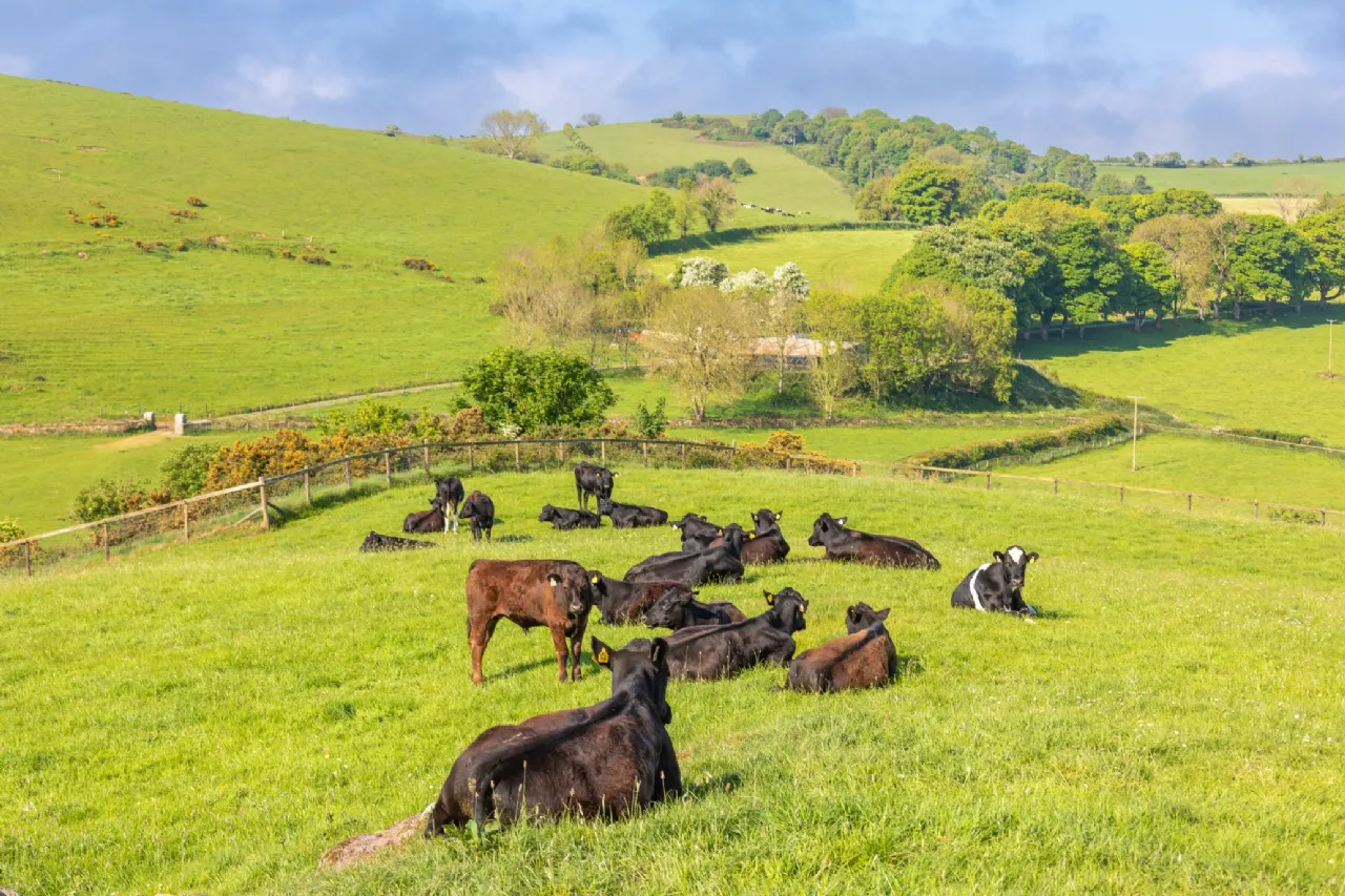 Photo of The Retreat, Lough Gur, Bruff, County Limerick, V35NX96