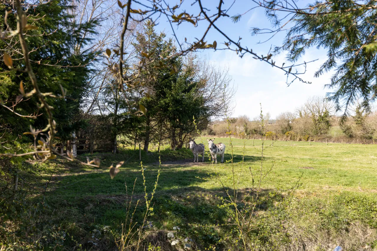 Photo of Ashlane, Coolook, Ballycanew, Gorey, Co. Wexford, Y25A449