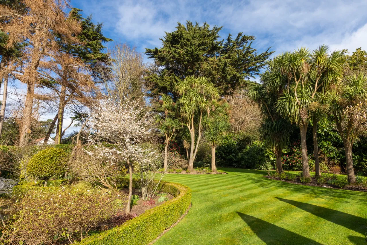 Photo of Torry, Brighton Road, Foxrock, Dublin 18, D18 Y9K6