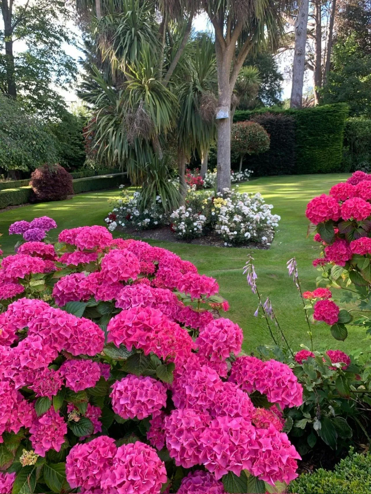 Photo of Torry, Brighton Road, Foxrock, Dublin 18, D18 Y9K6