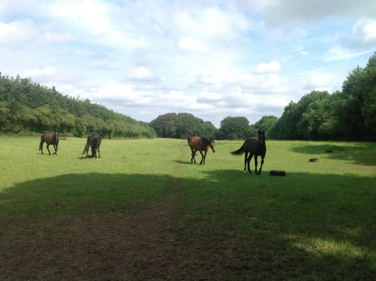 Photo of Ballydonagh House, Cloughjordan, Co. Offaly, E53 PR99