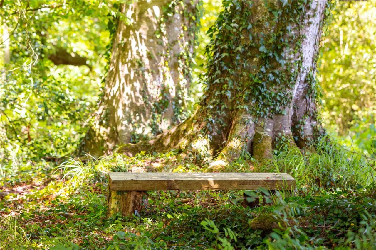 Photo of Ballydonagh House, Cloughjordan, Co. Offaly, E53 PR99